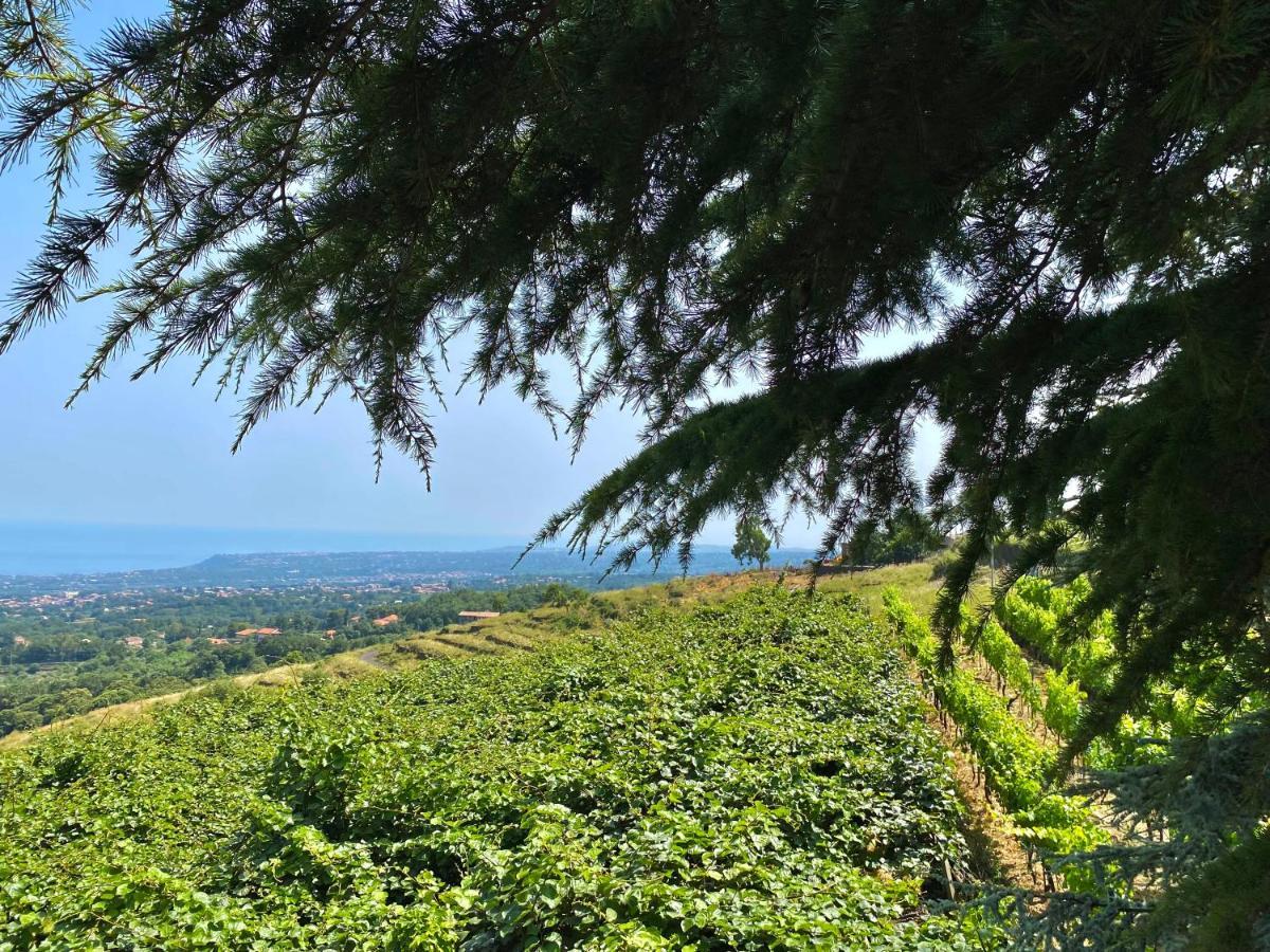 Tenuta Kiwi Dell'Etna Milo Exterior photo