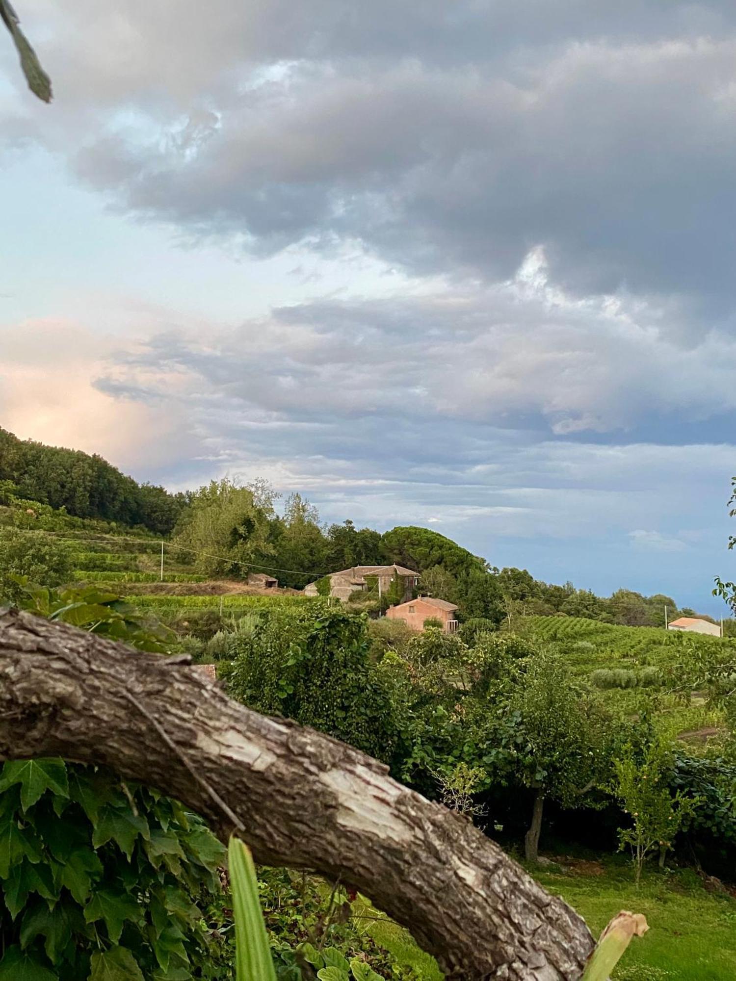 Tenuta Kiwi Dell'Etna Milo Exterior photo